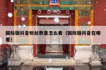 国际版抖音粉丝数量怎么看（国际版抖音在哪看）