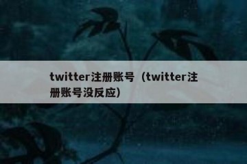twitter注册账号（twitter注册账号没反应）