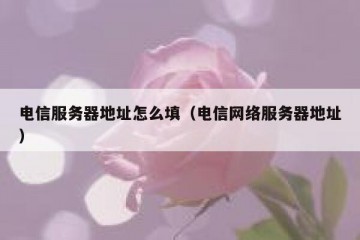 电信服务器地址怎么填（电信网络服务器地址）