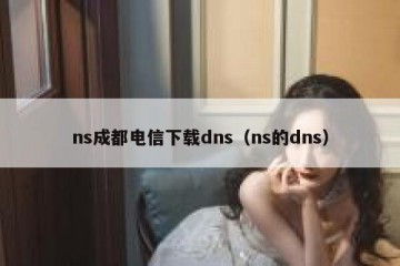 ns成都电信下载dns（ns的dns）