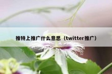 推特上推广什么意思（twitter推广）