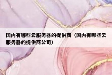 国内有哪些云服务器的提供商（国内有哪些云服务器的提供商公司）