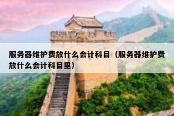 服务器维护费放什么会计科目（服务器维护费放什么会计科目里）