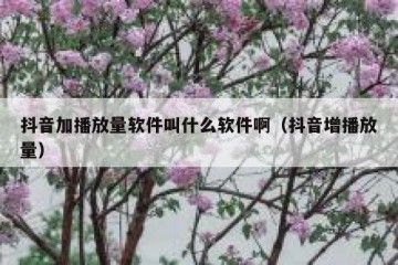抖音加播放量软件叫什么软件啊（抖音增播放量）