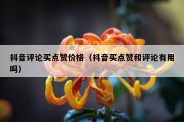 抖音评论买点赞价格（抖音买点赞和评论有用吗）