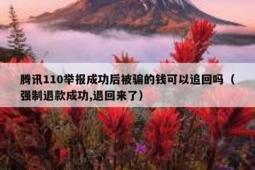 腾讯110举报成功后被骗的钱可以追回吗（强制退款成功,退回来了）