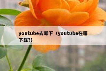 youtube去哪下（youtube在哪下载?）
