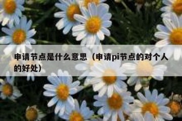 申请节点是什么意思（申请pi节点的对个人的好处）