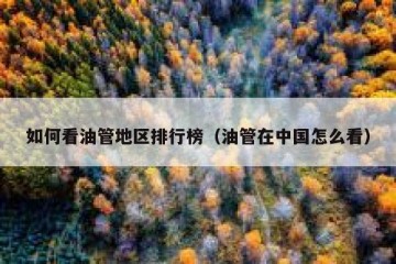 如何看油管地区排行榜（油管在中国怎么看）