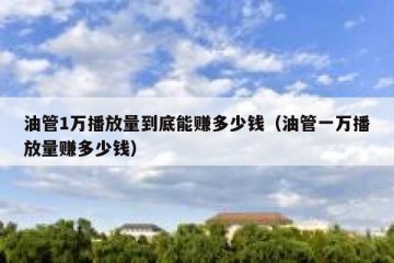油管1万播放量到底能赚多少钱（油管一万播放量赚多少钱）