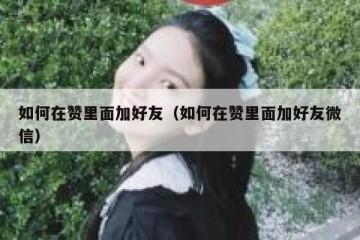 如何在赞里面加好友（如何在赞里面加好友微信）