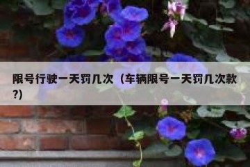 限号行驶一天罚几次（车辆限号一天罚几次款?）