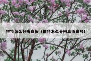 推特怎么分辨真假（推特怎么分辨真假账号）