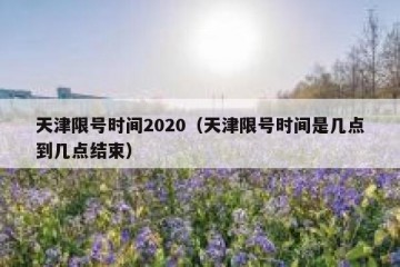 天津限号时间2020（天津限号时间是几点到几点结束）