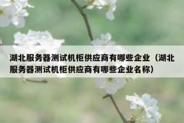 湖北服务器测试机柜供应商有哪些企业（湖北服务器测试机柜供应商有哪些企业名称）