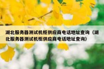 湖北服务器测试机柜供应商电话地址查询（湖北服务器测试机柜供应商电话地址查询）