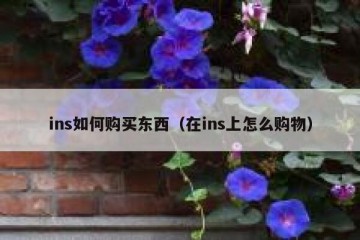 ins如何购买东西（在ins上怎么购物）