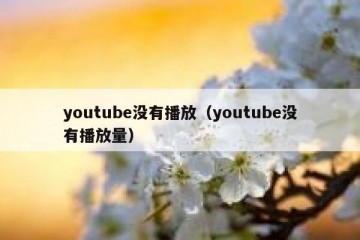 youtube没有播放（youtube没有播放量）