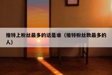 推特上粉丝最多的话是谁（推特粉丝数最多的人）