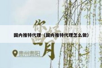 国内推特代理（国内推特代理怎么做）