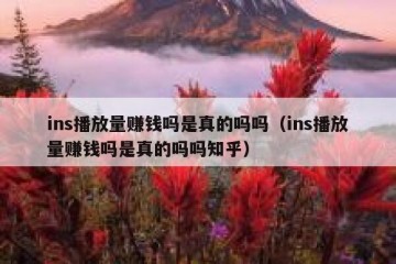 ins播放量赚钱吗是真的吗吗（ins播放量赚钱吗是真的吗吗知乎）