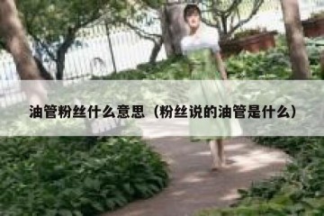 油管粉丝什么意思（粉丝说的油管是什么）