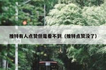 推特有人点赞但是看不到（推特点赞没了）