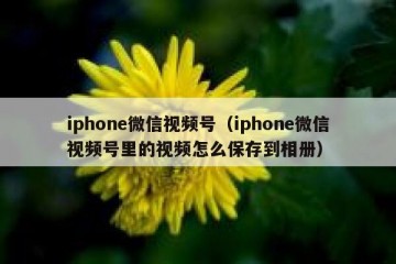 iphone微信视频号（iphone微信视频号里的视频怎么保存到相册）