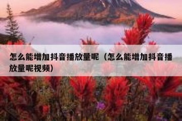 怎么能增加抖音播放量呢（怎么能增加抖音播放量呢视频）