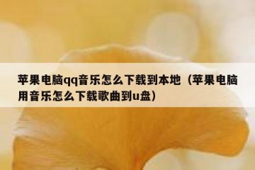 苹果电脑qq音乐怎么下载到本地（苹果电脑用音乐怎么下载歌曲到u盘）