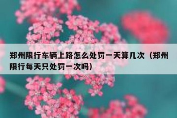 郑州限行车辆上路怎么处罚一天算几次（郑州限行每天只处罚一次吗）