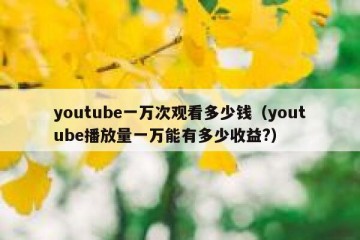 youtube一万次观看多少钱（youtube播放量一万能有多少收益?）