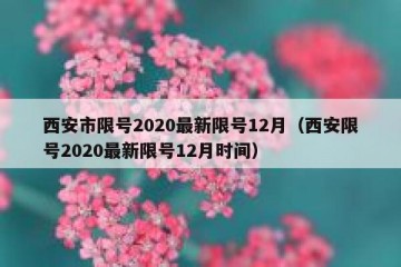 西安市限号2020最新限号12月（西安限号2020最新限号12月时间）