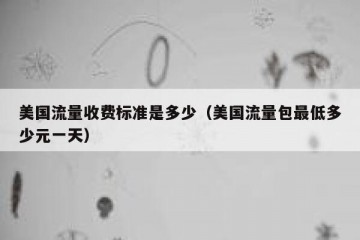 美国流量收费标准是多少（美国流量包最低多少元一天）