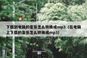 下载到电脑的音乐怎么转换成mp3（在电脑上下载的音乐怎么转换成mp3）