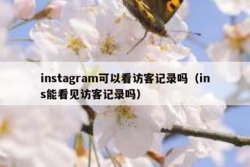 instagram可以看访客记录吗（ins能看见访客记录吗）