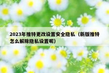 2023年推特更改设置安全隐私（新版推特怎么解除隐私设置呢）