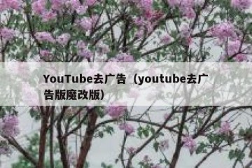 YouTube去广告（youtube去广告版魔改版）