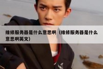 维修服务器是什么意思啊（维修服务器是什么意思啊英文）