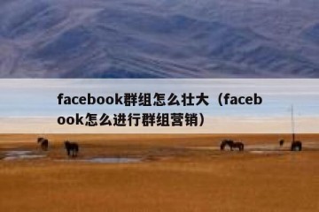 facebook群组怎么壮大（facebook怎么进行群组营销）