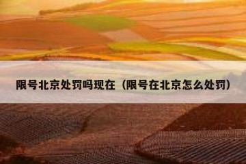 限号北京处罚吗现在（限号在北京怎么处罚）