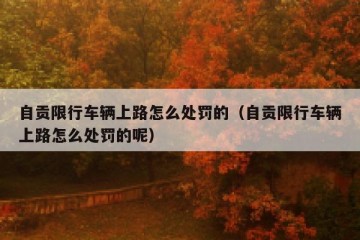 自贡限行车辆上路怎么处罚的（自贡限行车辆上路怎么处罚的呢）