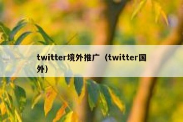 twitter境外推广（twitter国外）