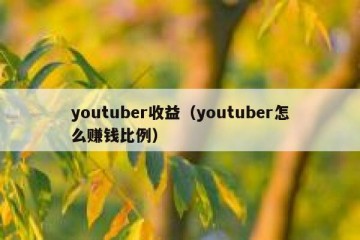 youtuber收益（youtuber怎么赚钱比例）