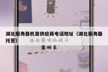 湖北服务器机架供应商电话地址（湖北服务器托管）