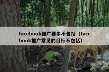 facebook推广要素不包括（facebook推广常见的目标不包括）