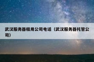 武汉服务器租用公司电话（武汉服务器托管公司）