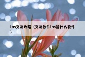 ins交友攻略（交友软件ins是什么软件）