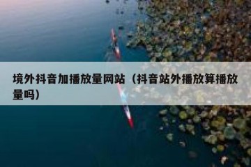 境外抖音加播放量网站（抖音站外播放算播放量吗）