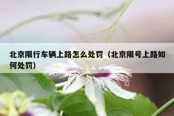 北京限行车辆上路怎么处罚（北京限号上路如何处罚）